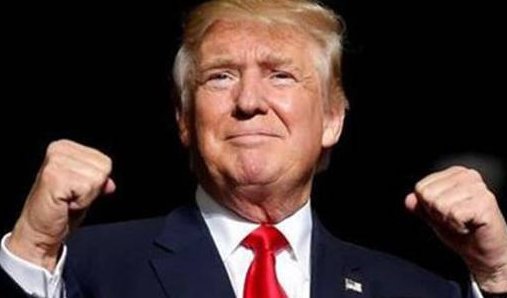 DTin the house和特朗普有什么关系？