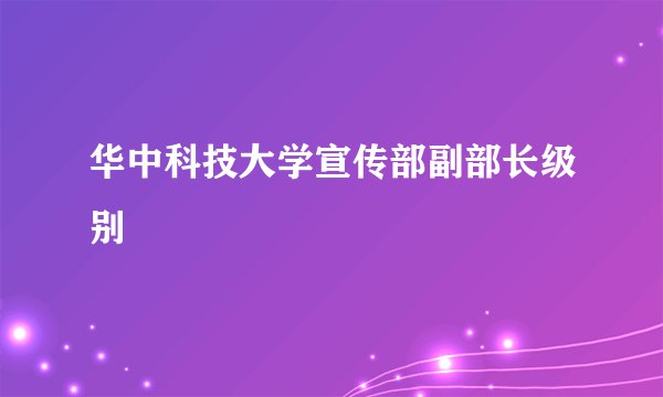 华中科技大学宣传部副部长级别