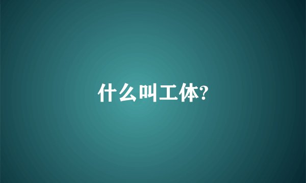 什么叫工体?