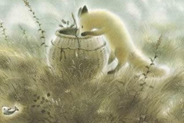 小狐狸阿权是一个什么样的人