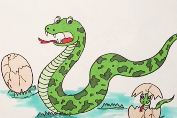 蛇怎么画最简单