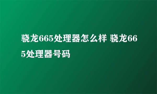 骁龙665处理器怎么样 骁龙665处理器号码