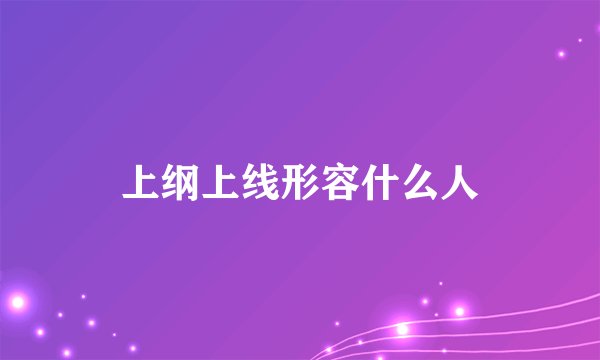 上纲上线形容什么人