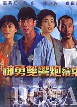 神勇双响炮续集的介绍