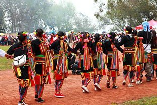 九族中的卑南族有什么历史文化