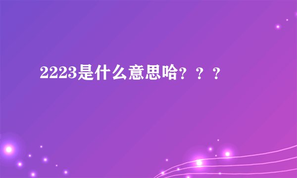 2223是什么意思哈？？？