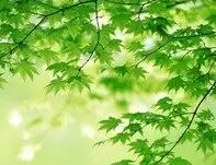 穆然是什么意思