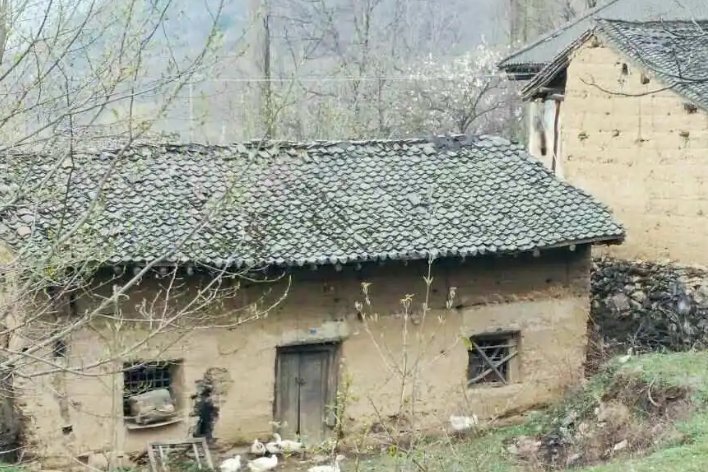 饱经风霜的老屋写一句话