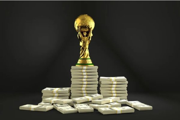 有多少个国家赢得过世界杯