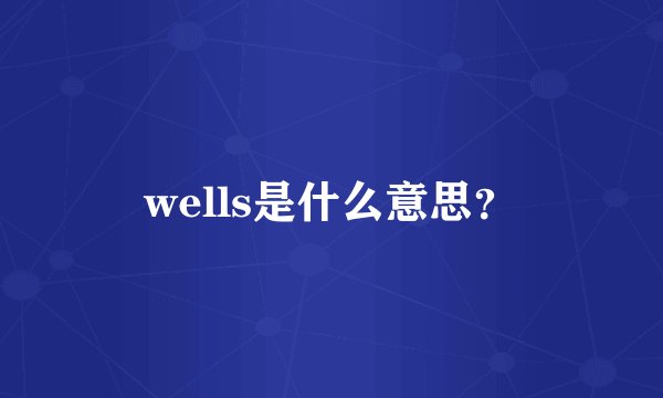 wells是什么意思？