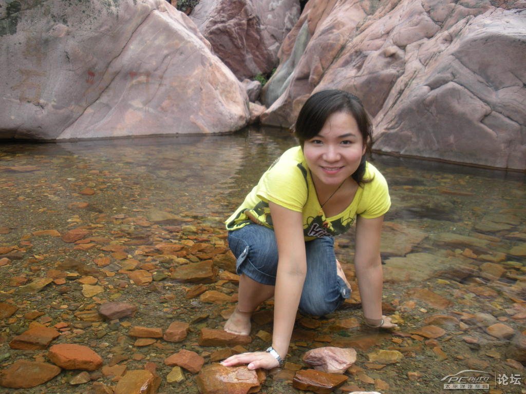 凤凰山下的论坛性质