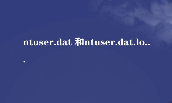 ntuser.dat 和ntuser.dat.log是什么文件 应该在什么位置