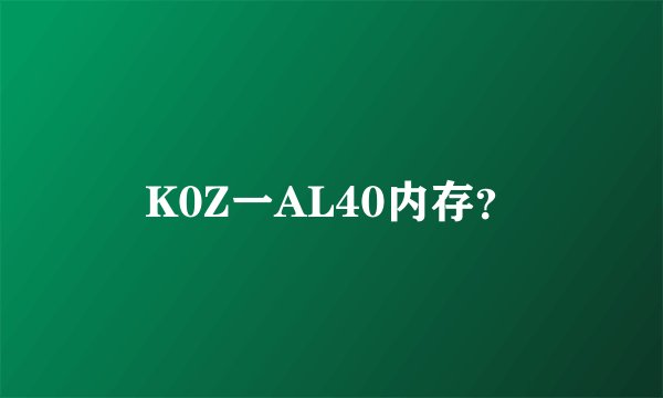 K0Z一AL40内存？