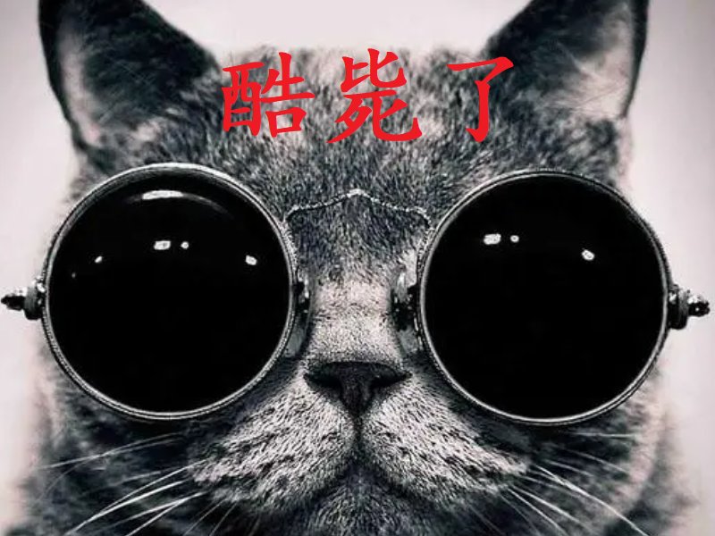 酷毙了什么意思