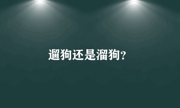 遛狗还是溜狗？
