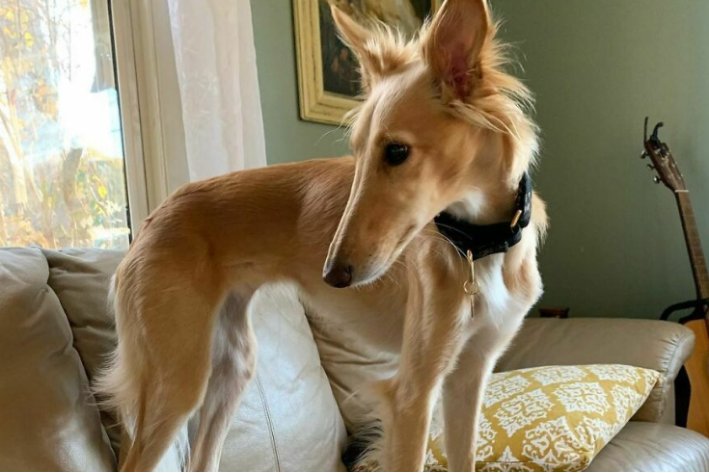 let me do it for you什么意思？