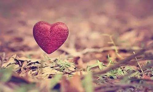 41代表什么爱情暗示?