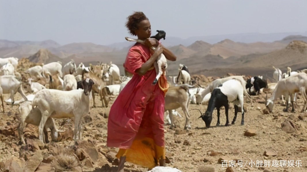 震撼人心《沙漠之花》，究竟讲了些什么？