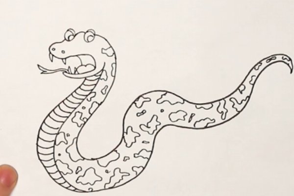 蛇怎么画最简单