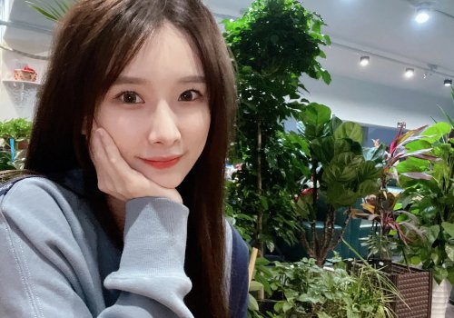 张溪为什么改名宋昭艺