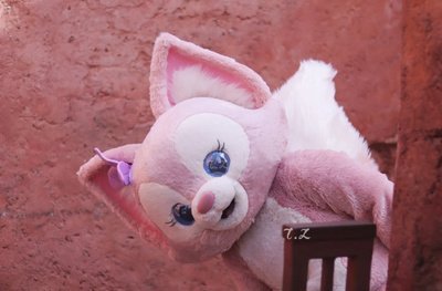 迪士尼申请玲娜贝儿商标，申请商标需符合哪些条件？