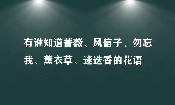 有谁知道蔷薇、风信子、勿忘我、薰衣草、迷迭香的花语