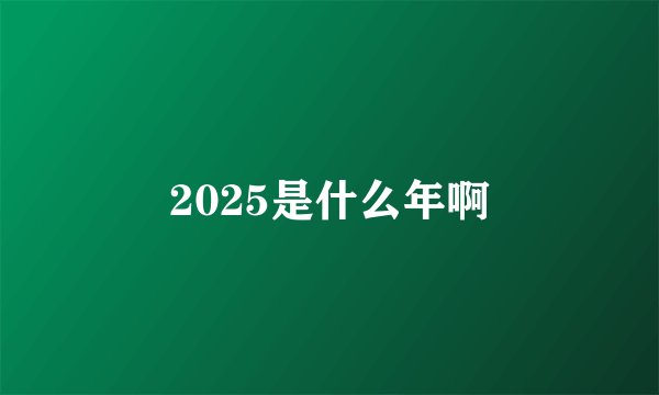 2025是什么年啊