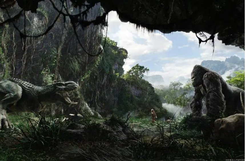 kingkong什么意思啊？