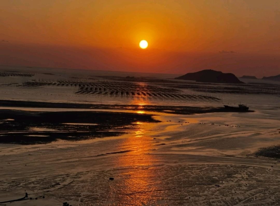 破茧重生什么意思