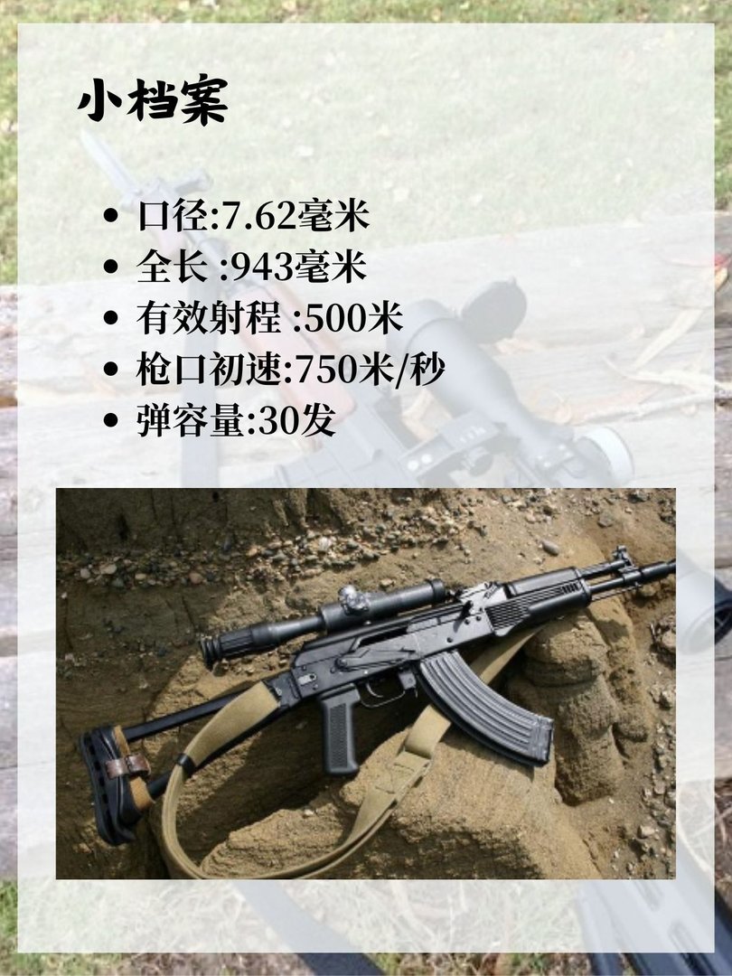 俄罗斯AK-103突击步枪