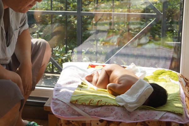 葆字是什么意思