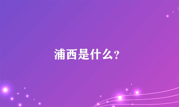浦西是什么？