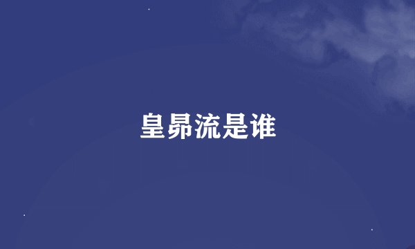 皇昴流是谁