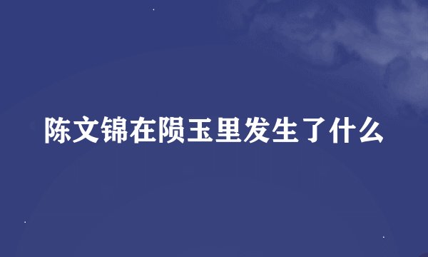 陈文锦在陨玉里发生了什么