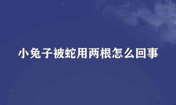 小兔子被蛇用两根怎么回事