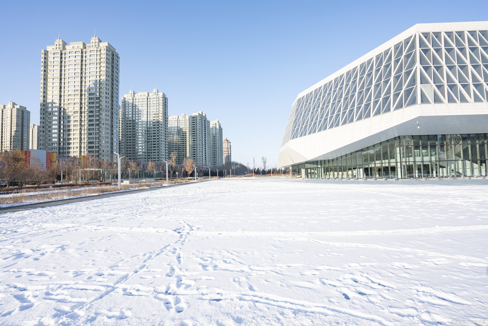 哈尔滨63号公告什么时候出