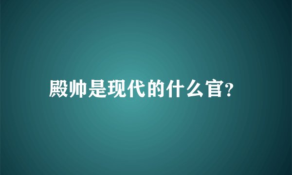 殿帅是现代的什么官？