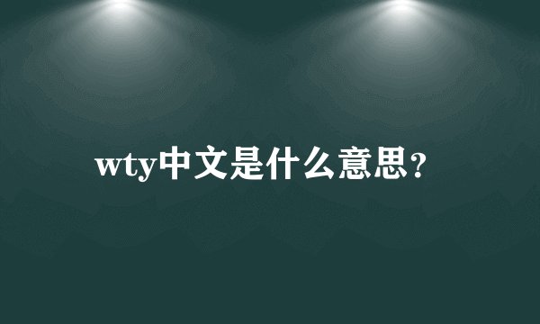 wty中文是什么意思？