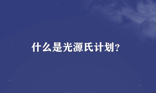 什么是光源氏计划？