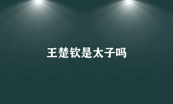 王楚钦是太子吗
