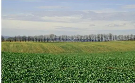 1英亩等于多少亩