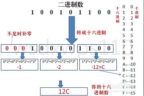 二进制数10101010转换成十进制数是多少？