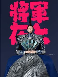 《将军在上》是什么电视剧？