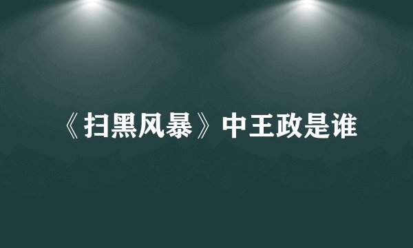 《扫黑风暴》中王政是谁