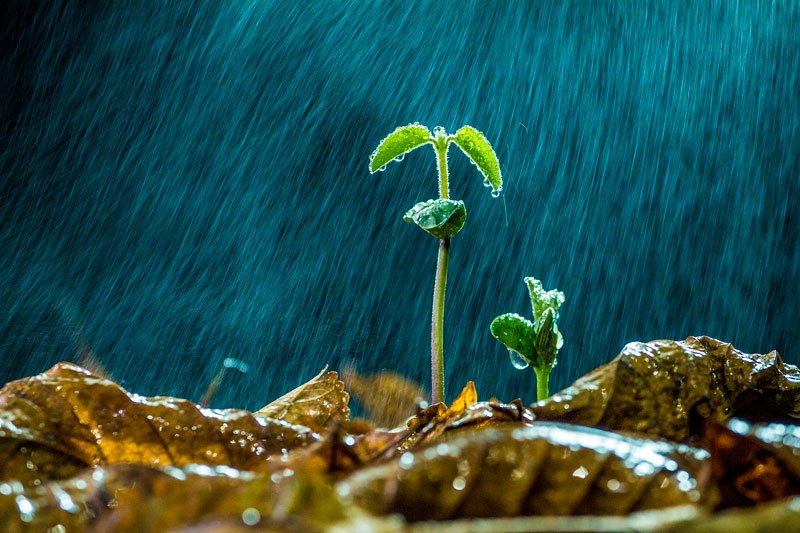 “挟飞仙以遨游，抱明月而长终。知不可乎骤得，托遗响于悲风”怎么翻译呢？