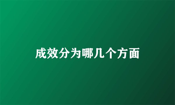 成效分为哪几个方面