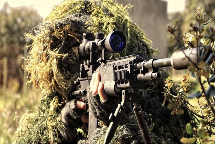 doggo是什么意思