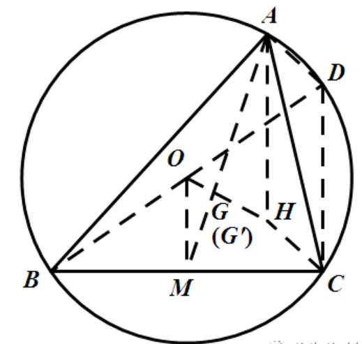 欧拉线有什么性质吗？