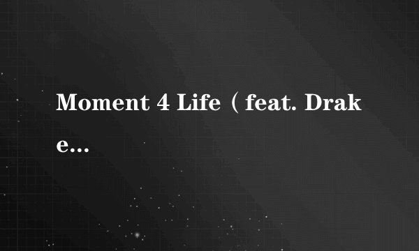 Moment 4 Life（feat. Drake）的歌词谢谢了，大神帮忙啊