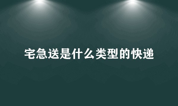 宅急送是什么类型的快递